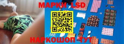 apvp Гусев