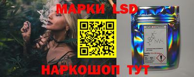 шишки Гусиноозёрск
