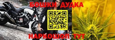 шишки Гусиноозёрск