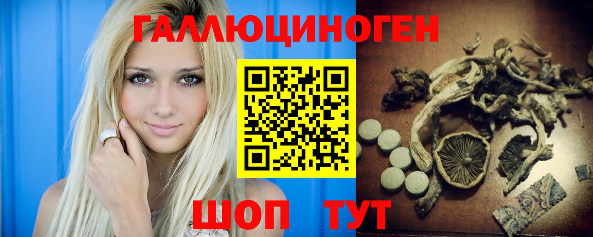 Галлюциногенные грибы Psilocybine cubensis Владимир